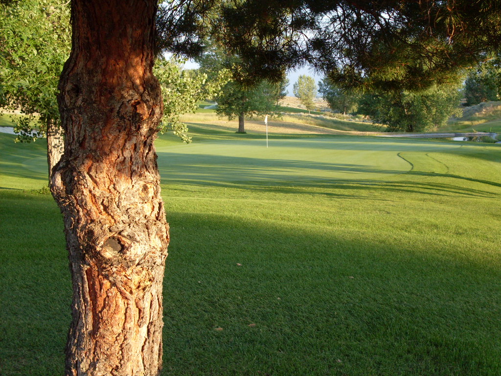 Course Photos Pryor Creek Golf Club